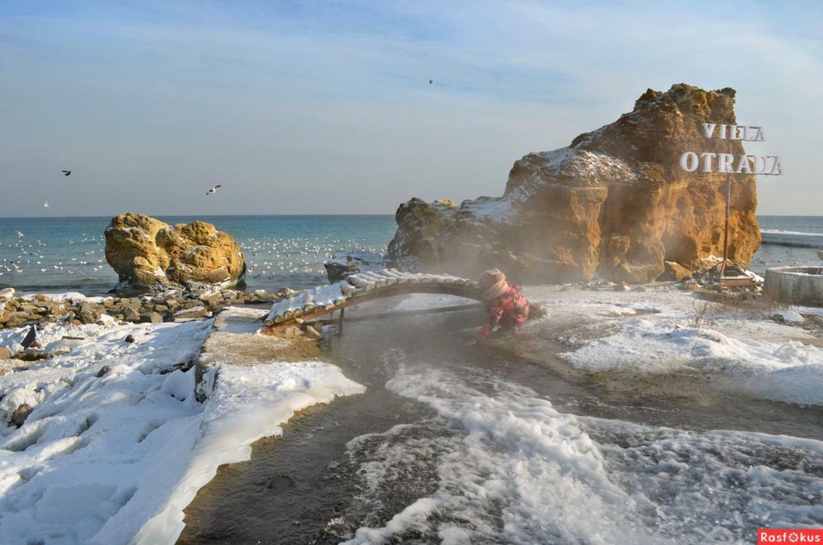 Студия С Двориком В Отраде Odessa Buitenkant foto